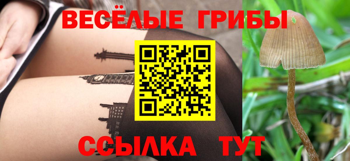 Ухта  Галлюциногенные грибы Cubensis  Галлюциногенные грибы GOLDEN TEACHER  где найти   Вход с VPN 