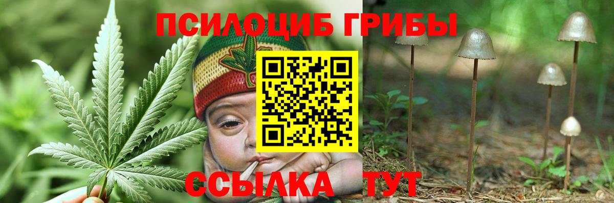 Псилоцибиновые грибы Magic Shrooms Ухта